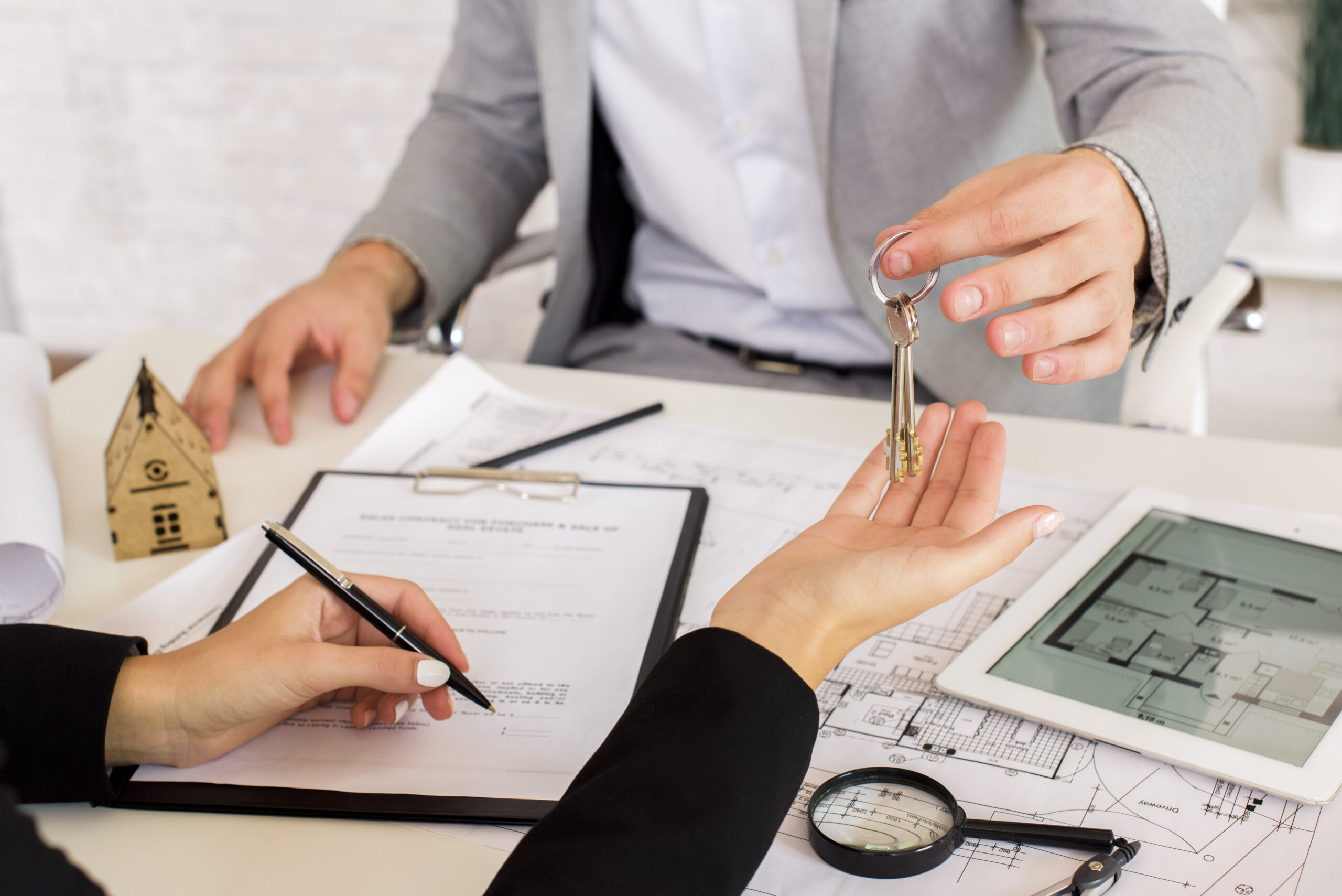 Freehold Property Ownership